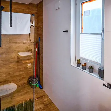 Pet Friendly In With Sauna